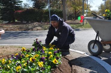Person planting flowers in garden bed seasonal installation