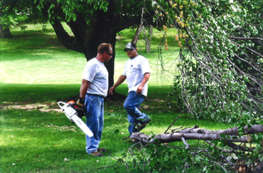 Storm damaged tree branch assessment