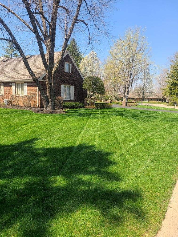 Fertilization weed control lawn care program