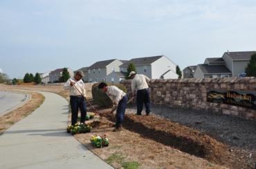 Workers installing seasonal flowers along concrete path