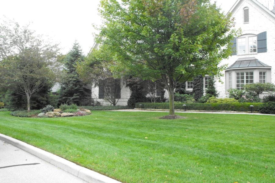 LAWN CARE