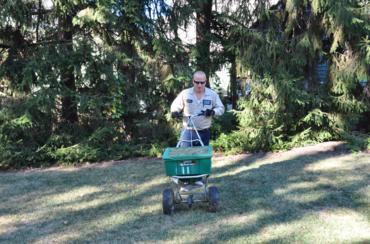 When’s the Best Time to Reseed Your Lawn?