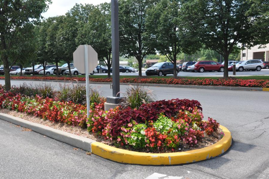 Commercial Properties | Berger Hargis Landscape Management