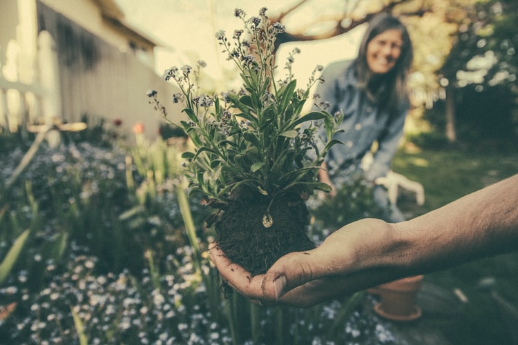 Gardening and Your Health