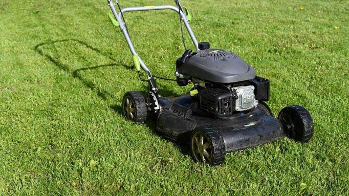 What to Know Before You Mow 