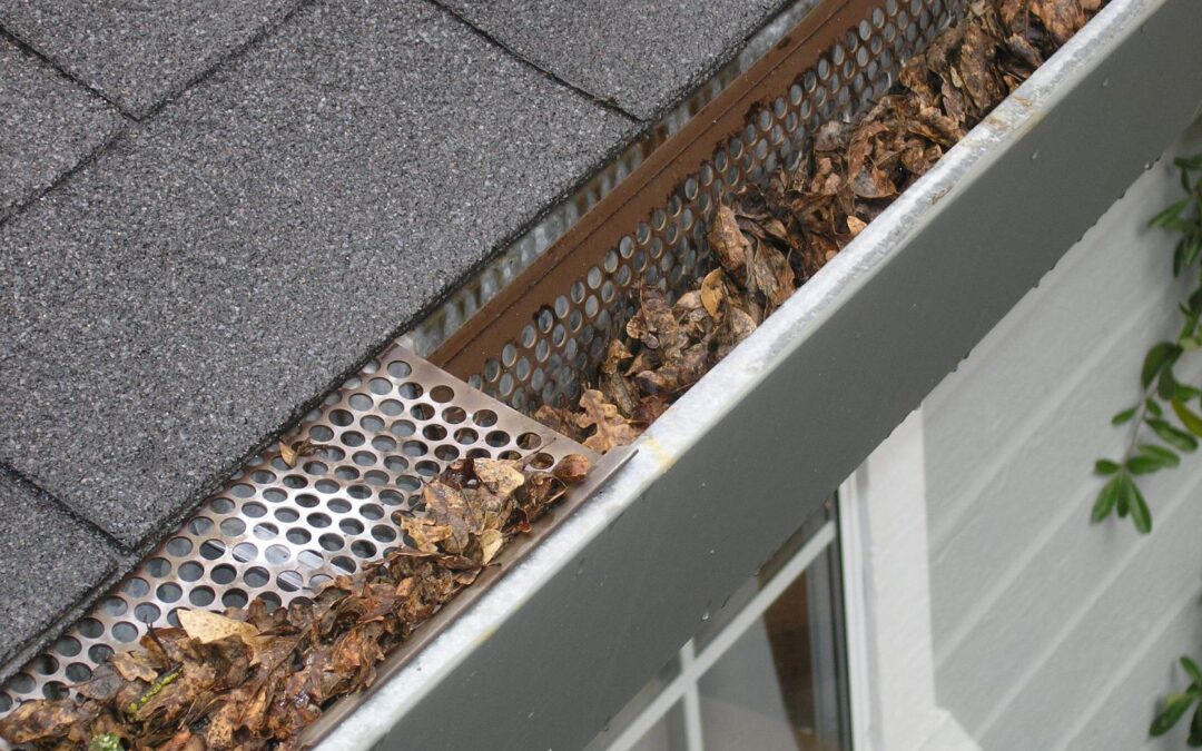 When Should You Clean Your Gutters?