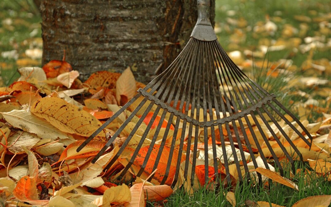 7 Point Fall Lawn and Garden Clean-up Checklist