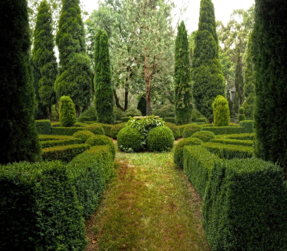 Should Your Trees and Bushes Be Sprayed? Berger Hargis Landscape