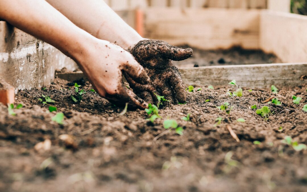 10 Spring Gardening Mistakes to Avoid