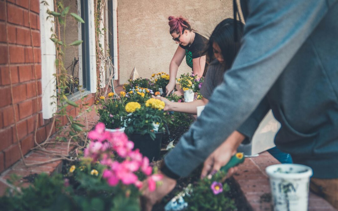 It’s Planning Your Garden Time!