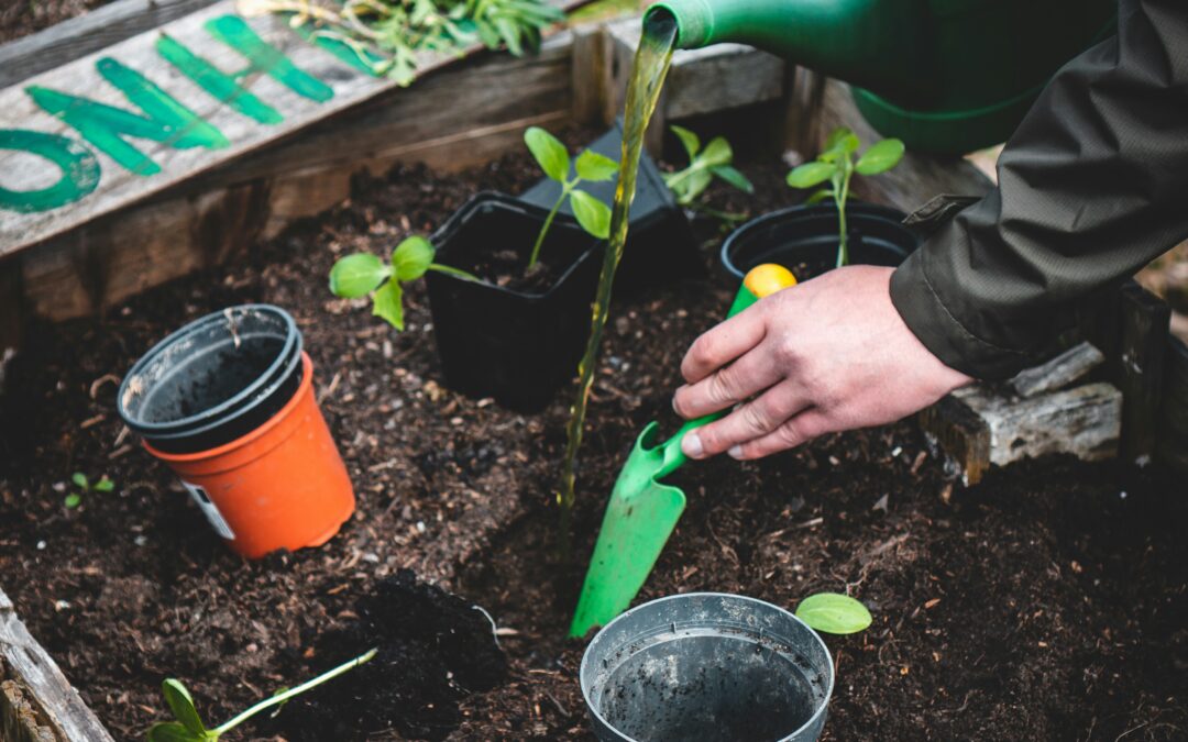 7 Key Spring Gardening Tips