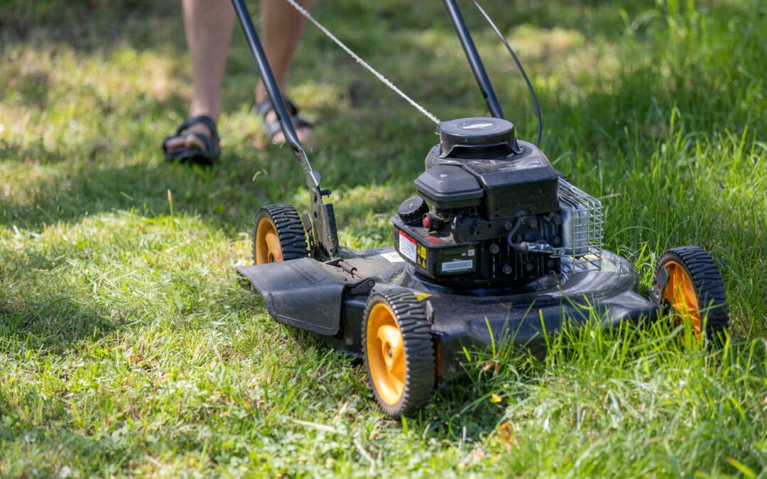 When Should You Mow in the Fall?