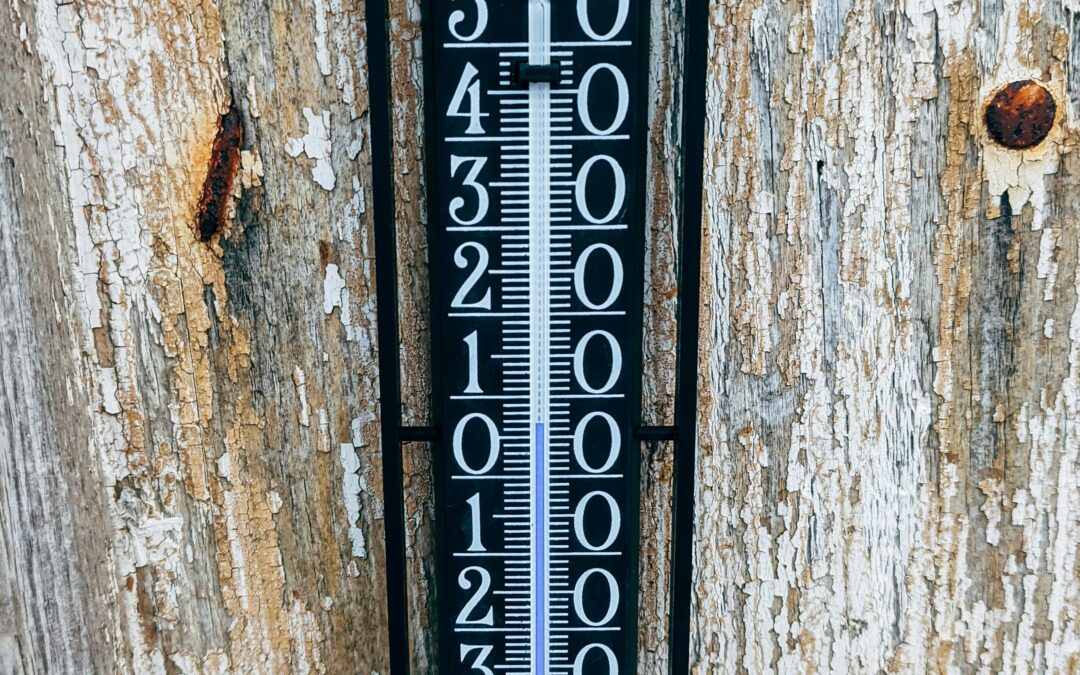 How Does Extreme Cold Affect Grass?