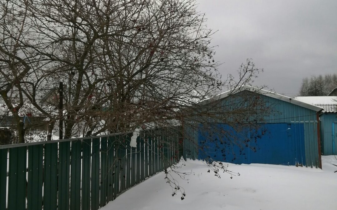 Don’t Make These 5 Winter Landscaping Mistakes