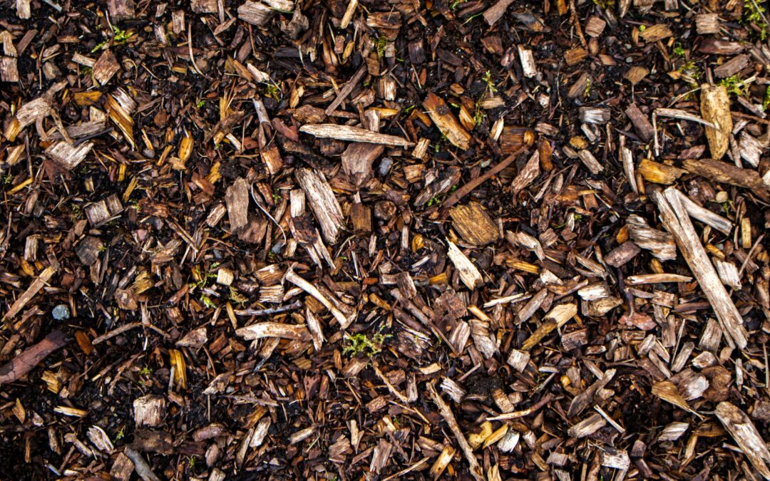Should You Mulch in the Winter?