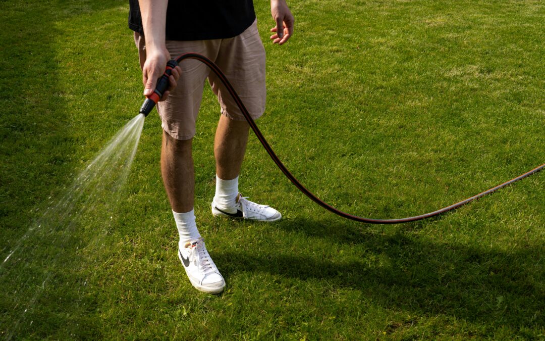 How to Fix Bare Patches in Your Yard